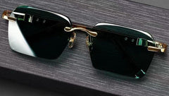 Schattenblick Eleganz