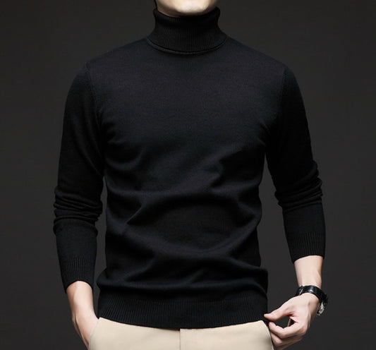 „Herren Rollkragenpullover“