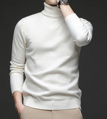 „Herren Rollkragenpullover“